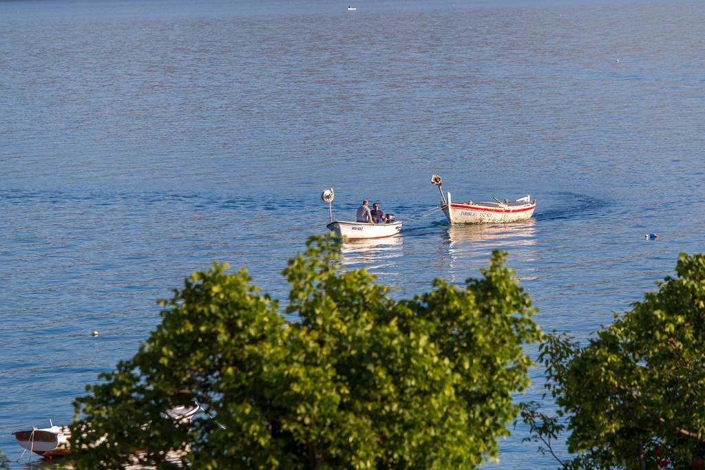 Villa Veca Starigrad Paklenica Dış mekan fotoğraf