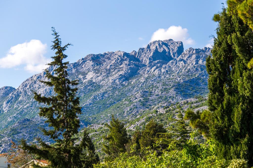 Villa Veca Starigrad Paklenica Dış mekan fotoğraf