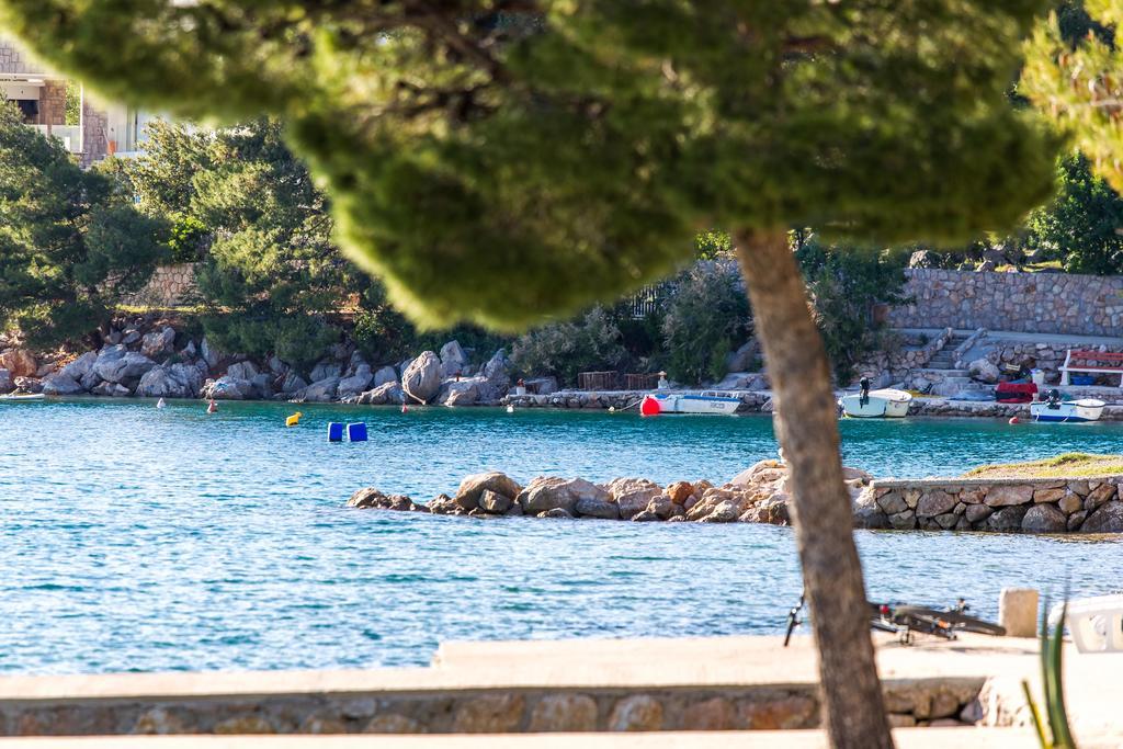 Villa Veca Starigrad Paklenica Dış mekan fotoğraf